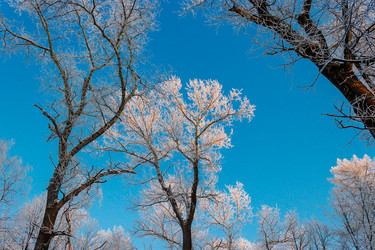 Similar image 5481869