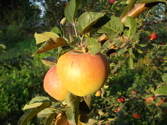 Similar image 5481870