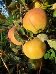 Similar image 5481871