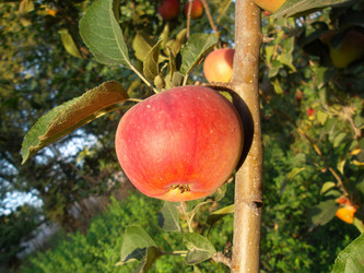 Similar image 5481876