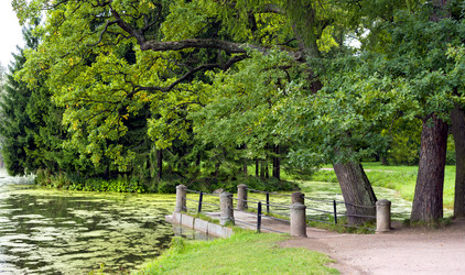 Similar image 5481878