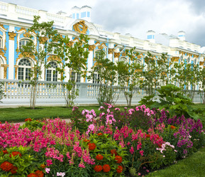 Similar image 5481884