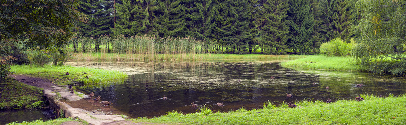 Similar image 5481889