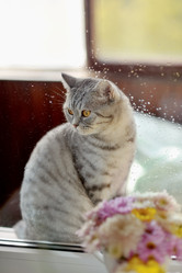 Similar image 5481896