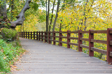 Similar image 5481912