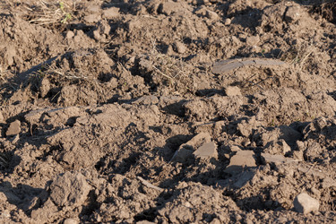 Similar image 5482002