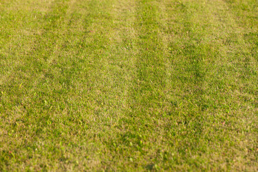 Similar image 5482006