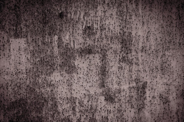 Similar image 5482010