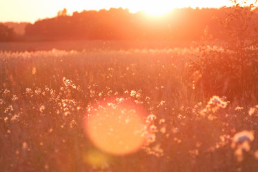 Similar image 5482028