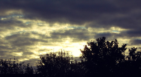 Similar image 5482061