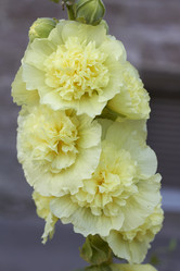 Similar image 5482245