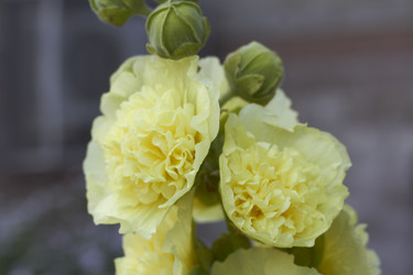 Similar image 5482246