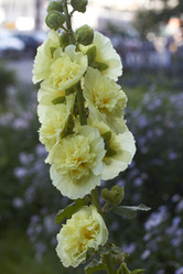 Similar image 5482247