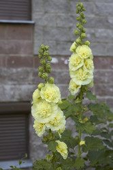 Similar image 5482248