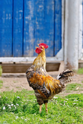 Similar image 5482301