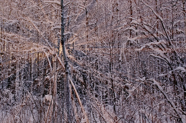 Similar image 5482329