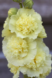 Similar image 5482407