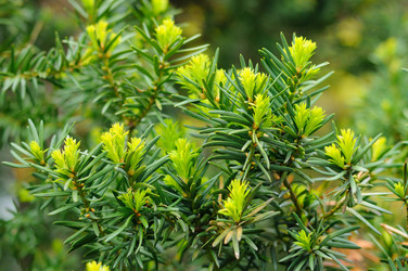 Similar image 5482539