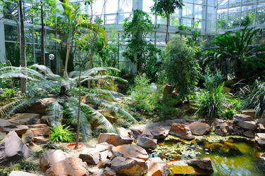 Similar image 5482615