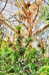 Similar image 5482681