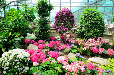 Similar image 5482699