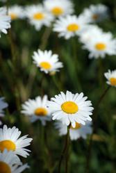 Similar image 5482743