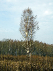 Similar image 5482744