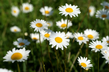 Similar image 5482745