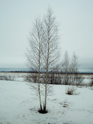 Similar image 5482746