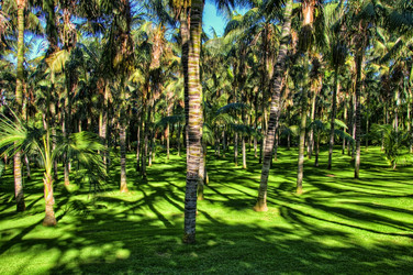 Similar image 5482756