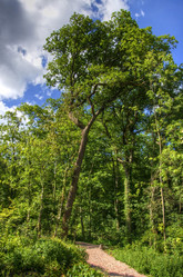 Similar image 5482781