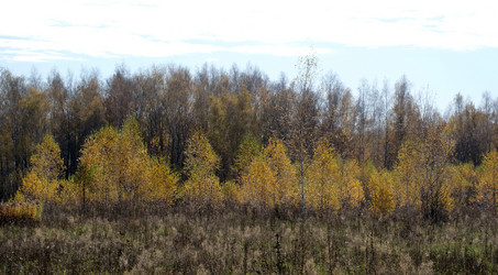 Similar image 5482865