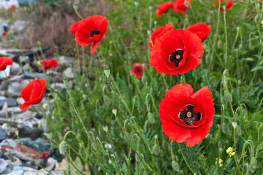 Similar image 5482867