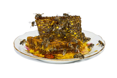 Similar image 5482872