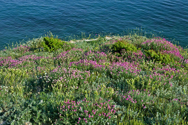 Similar image 5482873