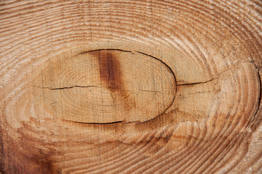 Similar image 5482911