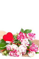 Similar image 5483001