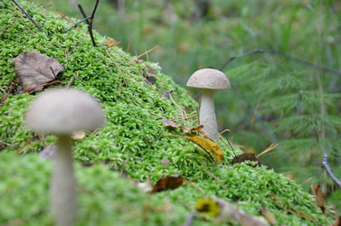 Similar image 5483024