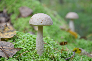 Similar image 5483025