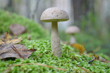 Similar image 5483027