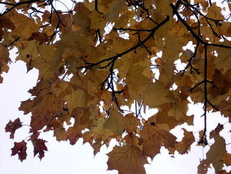 Similar image 5483046