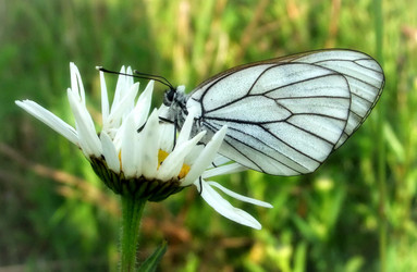 Similar image 5483050