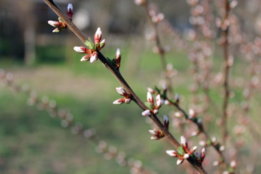 Similar image 5483068