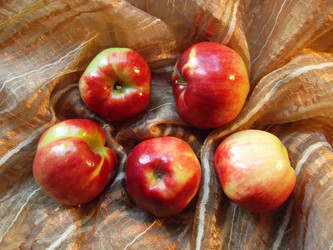 Similar image 5483126