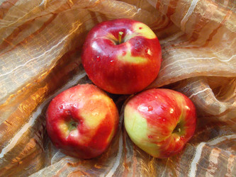 Similar image 5483127