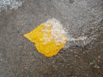 Similar image 5483131