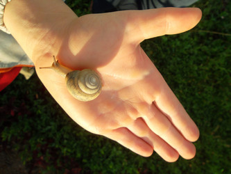 Similar image 5483151