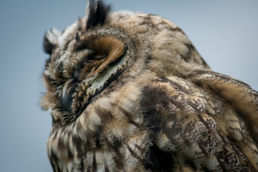 Similar image 5483606