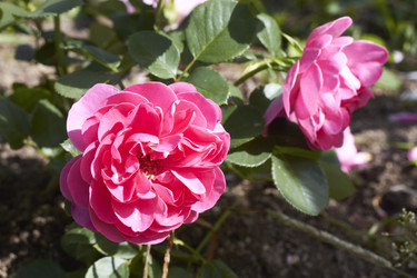 Similar image 5483672