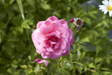 Similar image 5483673